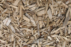 biomass boilers Trewornan