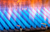 Trewornan gas fired boilers